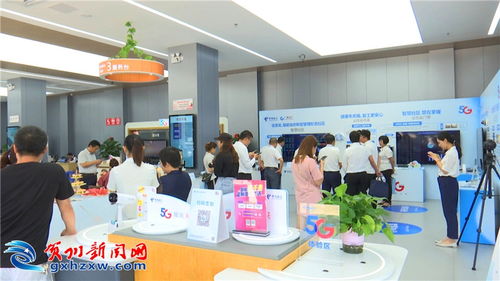 廣西電信5G信息化產品展示交流會在我市舉行，賦能金融信息咨詢新未來